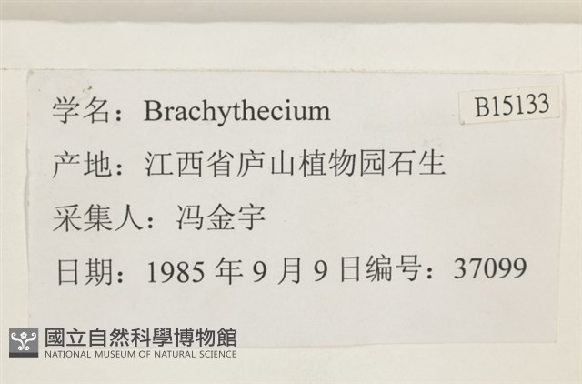 登錄號:B00015133藏品圖，第2張
