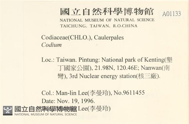 登錄號:A00001133藏品圖，第2張