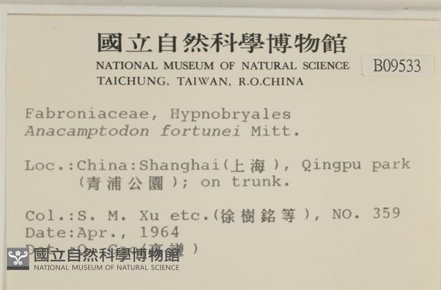 登錄號:B00009533藏品圖，第2張