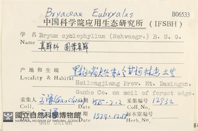 圓葉真蘚藏品圖，第2張