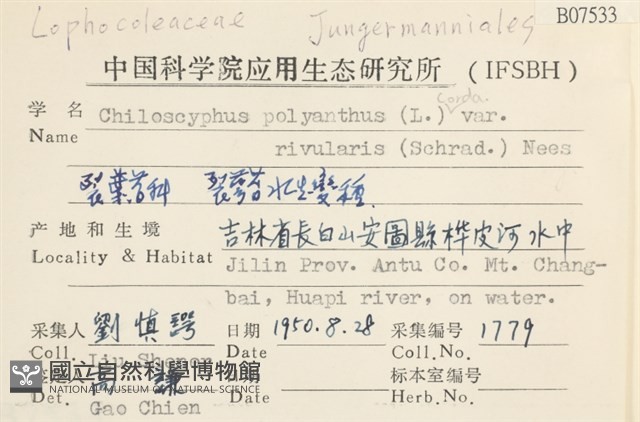 登錄號:B00007533藏品圖，第2張