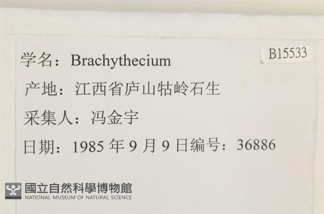 登錄號:B00015533藏品圖，第2張