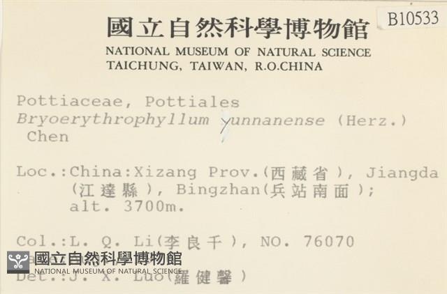 登錄號:B00010533藏品圖，第2張