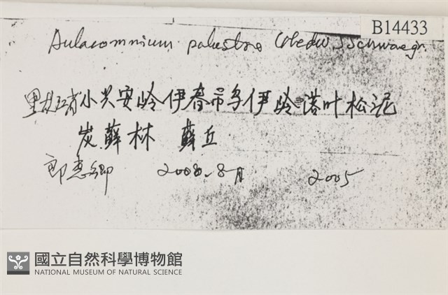 登錄號:B00014433藏品圖，第2張