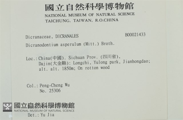 粗毛青毛蘚藏品圖，第2張