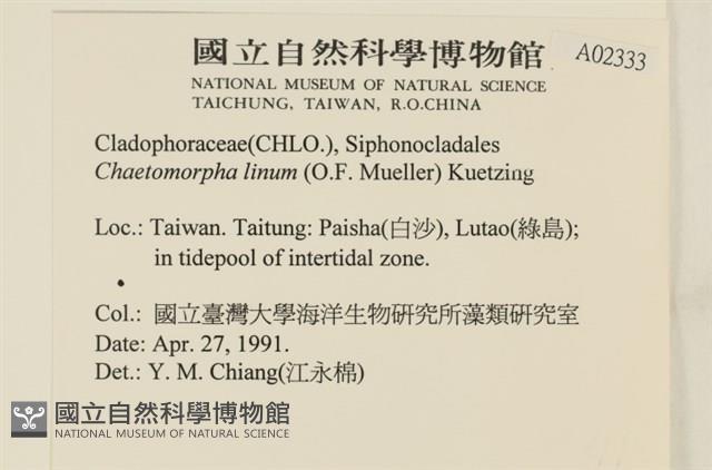 登錄號:A00002333藏品圖，第2張