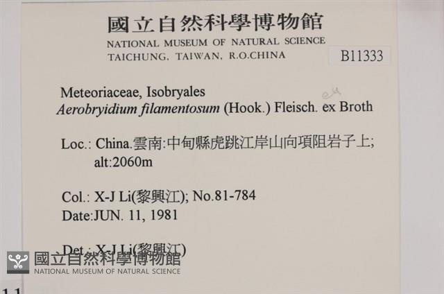 毛扭蘚藏品圖，第2張