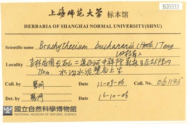 細枝青蘚藏品圖，第2張