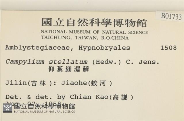 登錄號:B00001733藏品圖，第2張