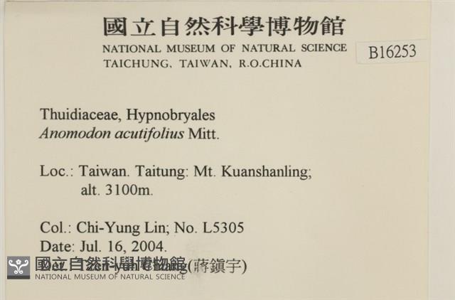 登錄號:B00016253藏品圖，第2張