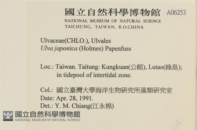 登錄號:A00006253藏品圖，第2張