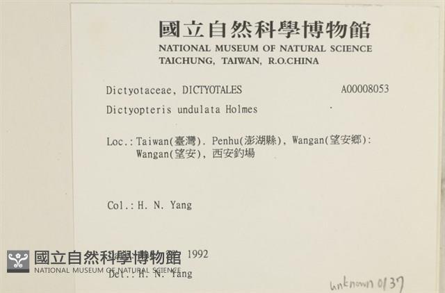 登錄號:A00008053藏品圖，第2張