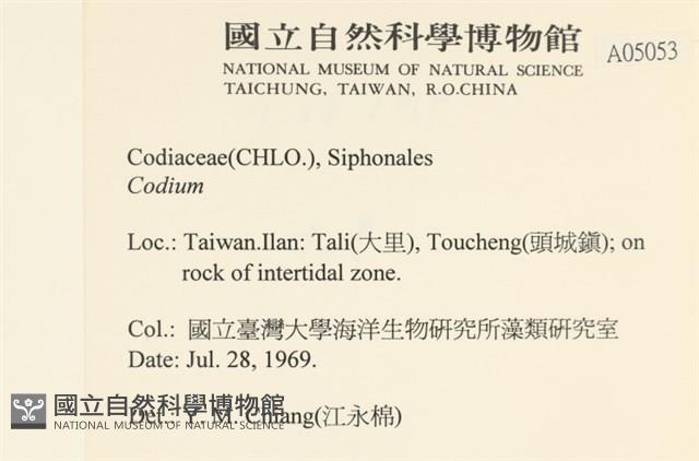 登錄號:A00005053藏品圖，第2張