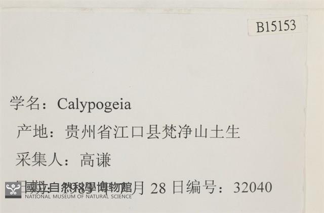 登錄號:B00015153藏品圖，第2張