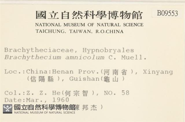 登錄號:B00009553藏品圖，第2張