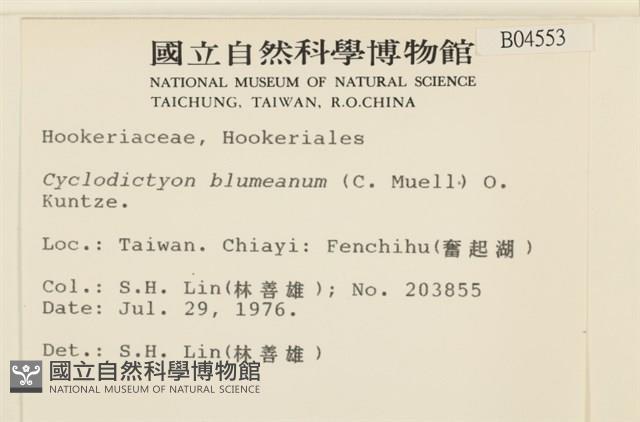登錄號:B00004553藏品圖，第2張