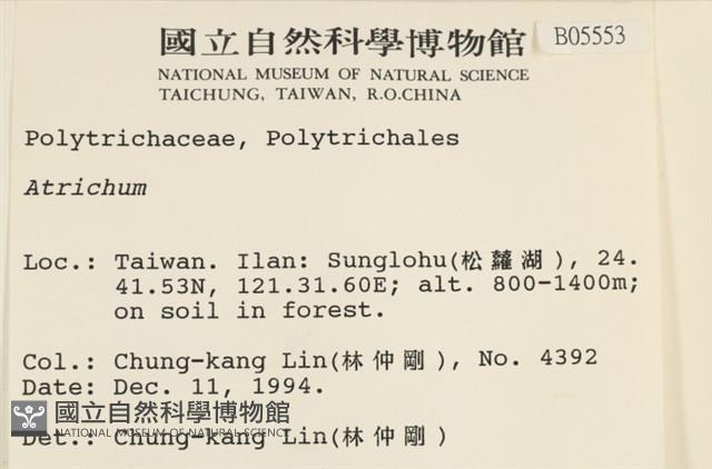 登錄號:B00005553藏品圖，第2張