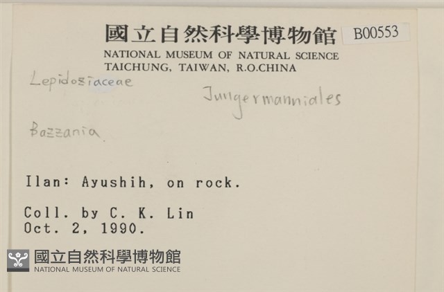 登錄號:B00000553藏品圖，第2張