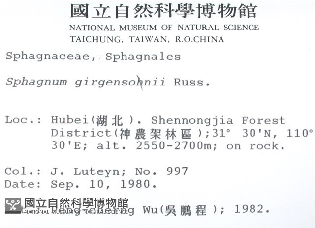 白齒泥炭蘚藏品圖，第2張