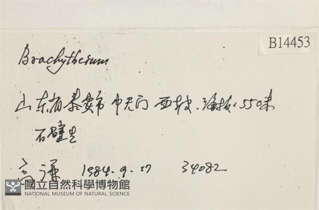 登錄號:B00014453藏品圖，第2張