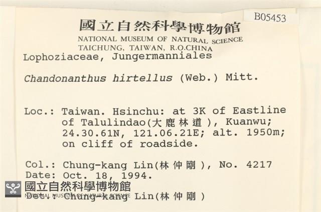 齒邊廣萼苔藏品圖，第2張