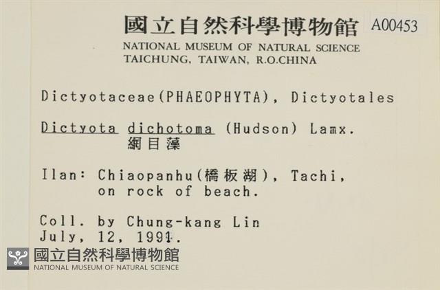 網目藻藏品圖，第2張