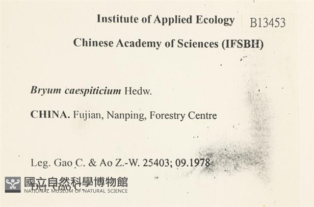 叢生真蘚藏品圖，第2張