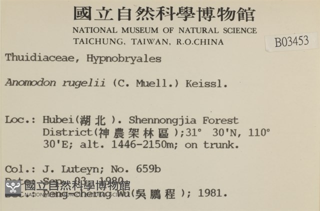 皺葉牛舌蘚藏品圖，第2張