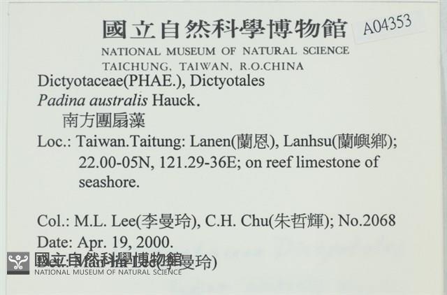 南方團扇藻藏品圖，第2張