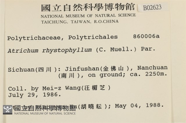 尖葉仙鶴蘚藏品圖，第2張