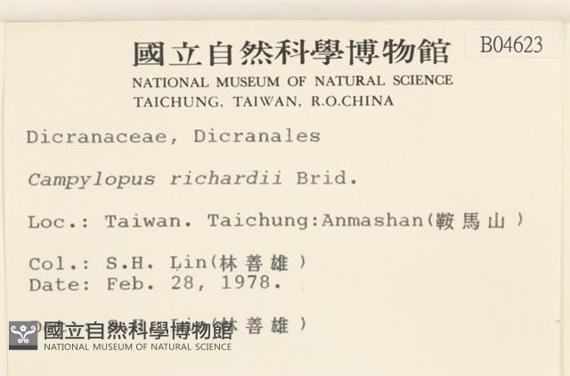 節莖曲柄蘚藏品圖，第2張