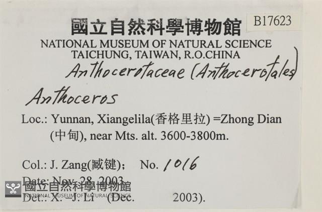 登錄號:B00017623藏品圖，第2張