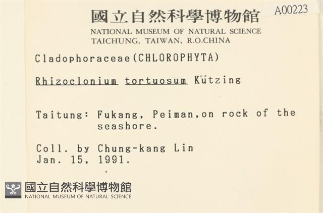 登錄號:A00000223藏品圖，第2張