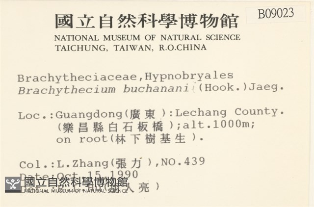 細枝青蘚藏品圖，第2張