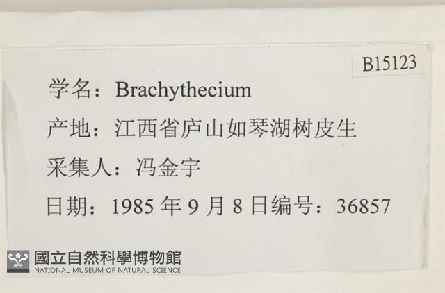 Accession Number:B00015123 Collection Image, Figure 2, Total 2 Figures