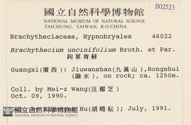 鉤葉青蘚藏品圖，第2張