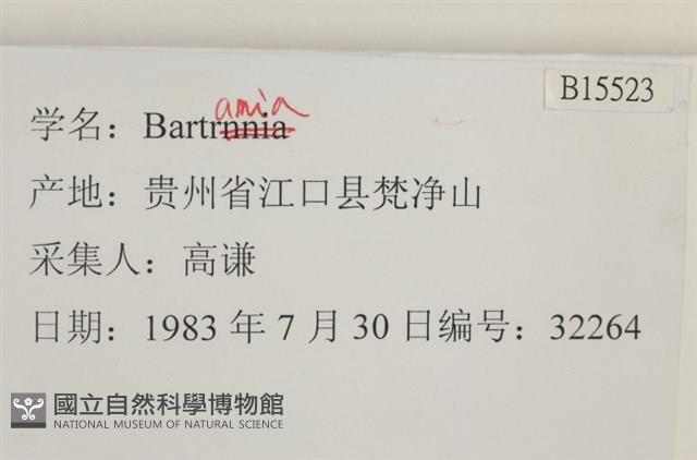 登錄號:B00015523藏品圖，第2張