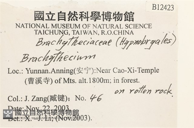 登錄號:B00012423藏品圖，第2張