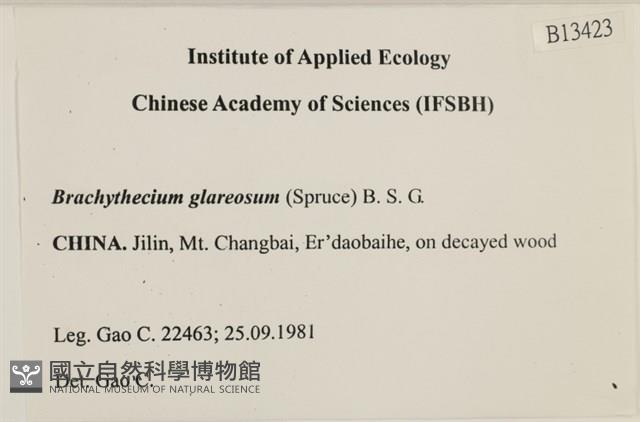 石地青蘚藏品圖，第2張