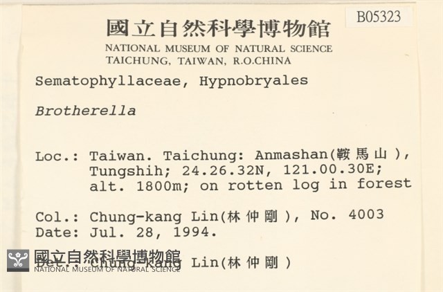 登錄號:B00005323藏品圖，第2張