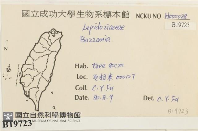 登錄號:B00019723藏品圖，第2張