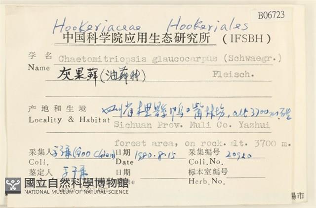 灰果蘚藏品圖，第2張