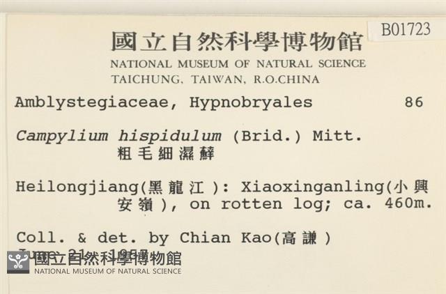 登錄號:B00001723藏品圖，第2張