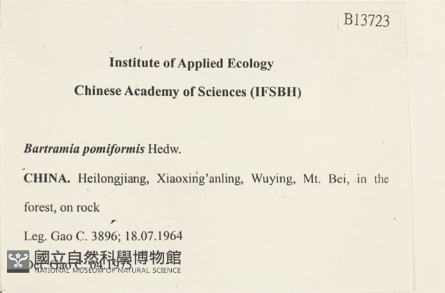 登錄號:B00013723藏品圖，第2張