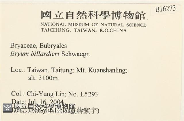登錄號:B00016273藏品圖，第2張