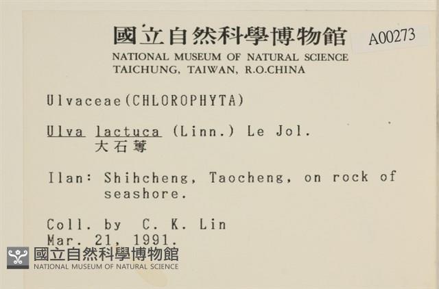 大石蓴, 石蓴藏品圖，第2張