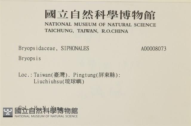 登錄號:A00008073藏品圖，第2張