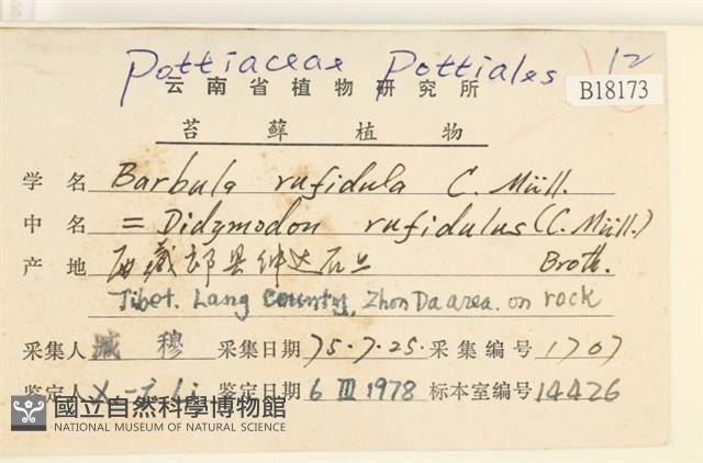 登錄號:B00018173藏品圖，第2張