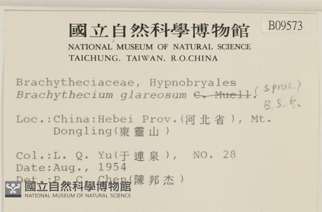 石地青蘚藏品圖，第2張