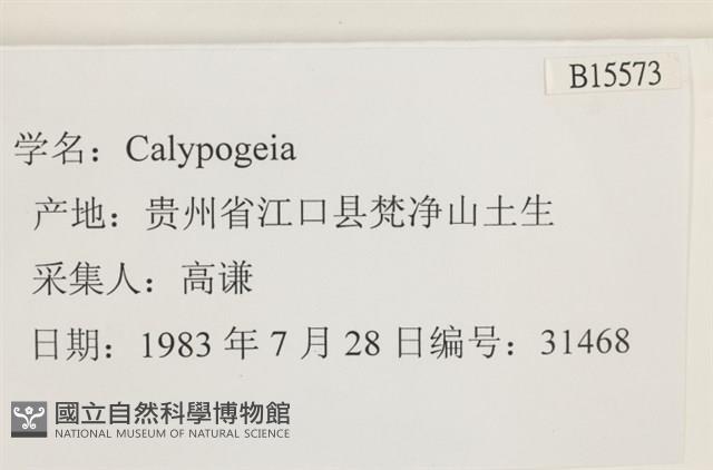 登錄號:B00015573藏品圖，第2張